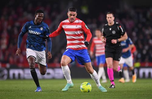 What's a Bingo Game?